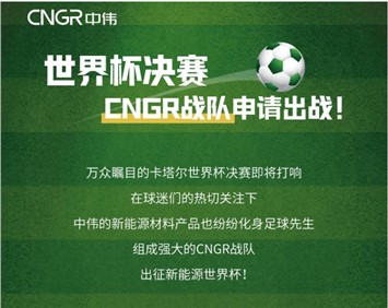 世界杯決賽 | CNGR戰(zhàn)隊(duì)申請(qǐng)出戰(zhàn)！